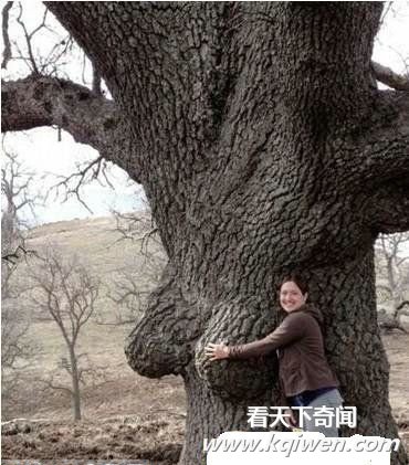 是我们想的太龌龊还是大自然太神奇
